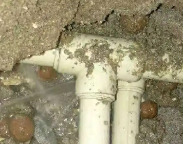 延安市测漏水多少钱