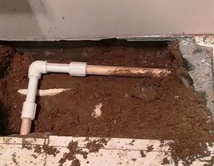 延安市测漏水哪家好