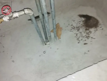 延安市卫生间测漏水价格明细