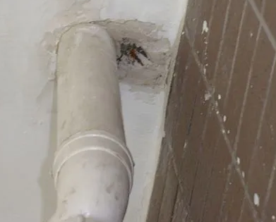 延安市漏水检测哪家好